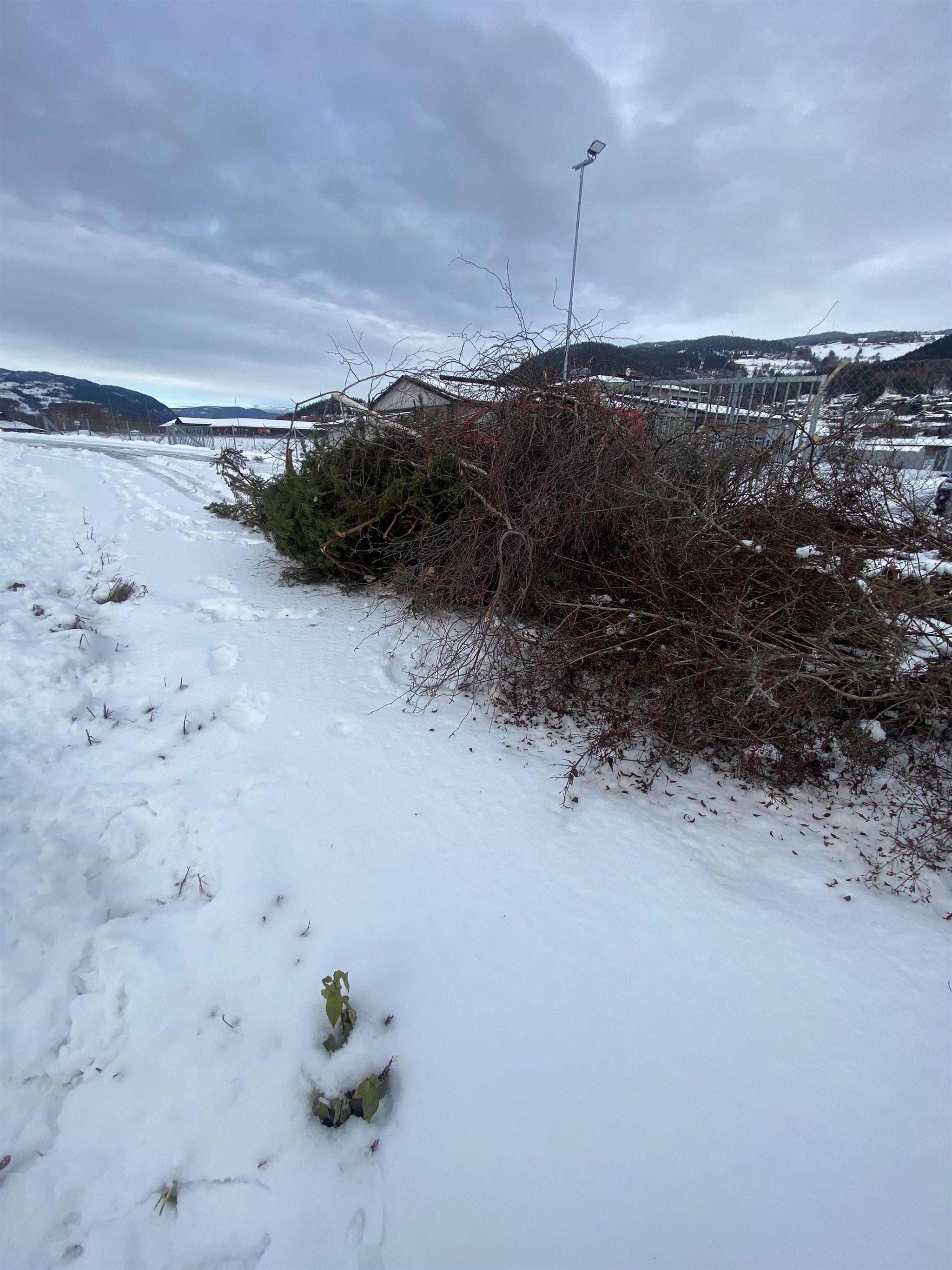 Hageavfall dumpet utenfor Fåvang miljøstasjon